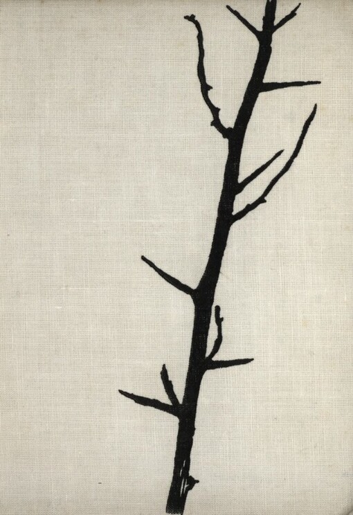 Španělsko, Španělsko