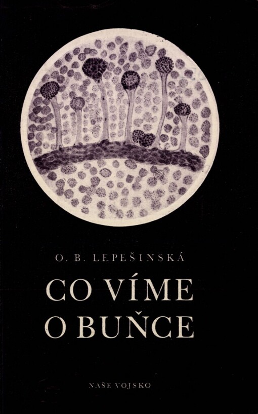 Co víme o vzniku buněk