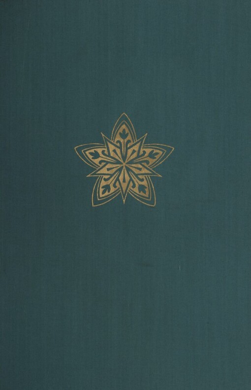 Dva kapitáni =: [Dva kapitana] : Román