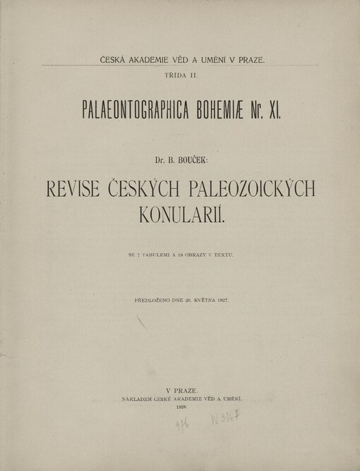 Revise českých paleozoických konularií