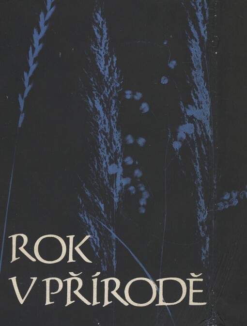 Rok v přírodě :metodická příručka pro učitelky mateřských škol