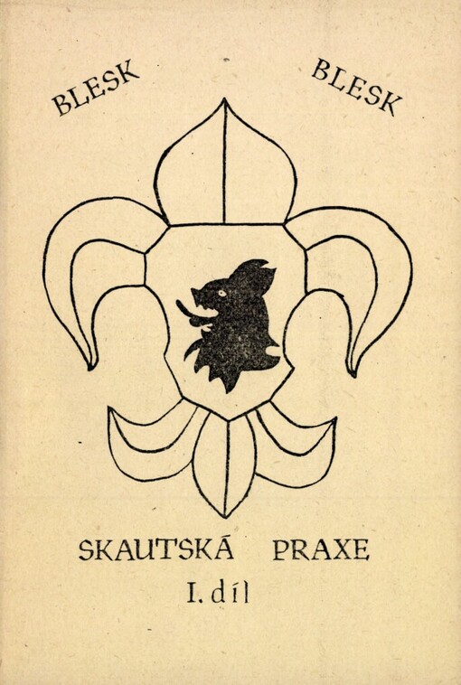 Skautská praxe