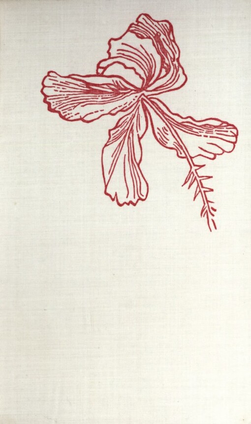 Tichomořské ozvěny