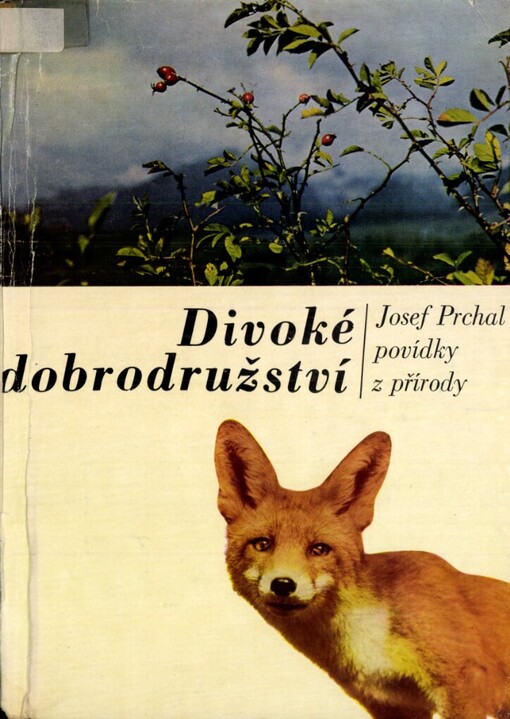 Divoké dobrodružství :Divočák ; Kmotřička z Mezihoří