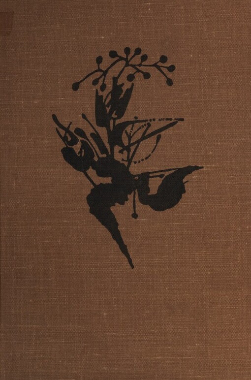 Chlapec ze starého lesa