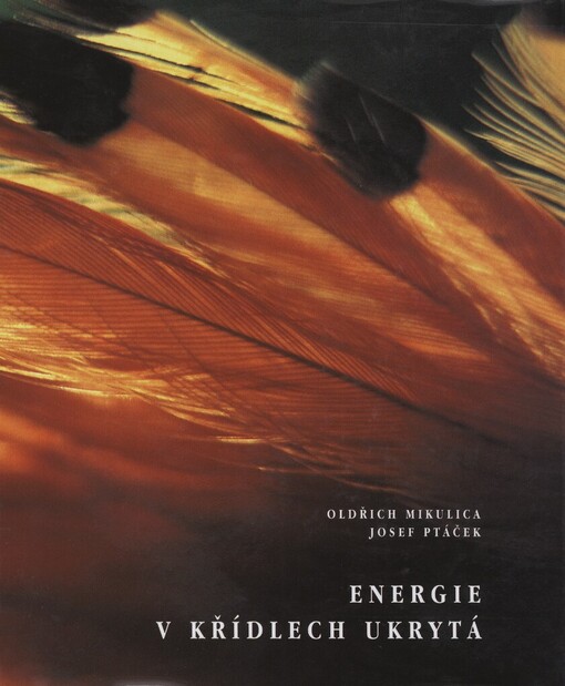 Energie v křídlech ukrytá