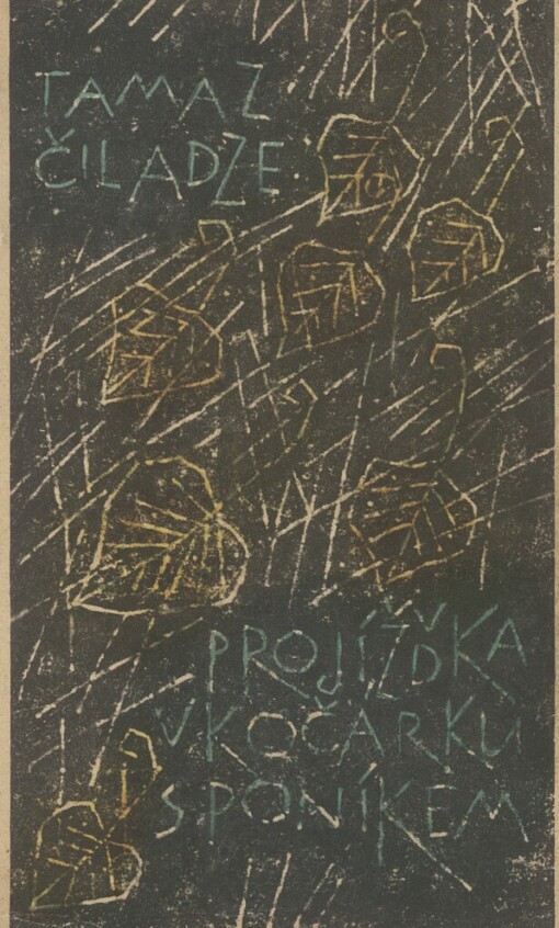 Projížďka v kočárku s poníkem