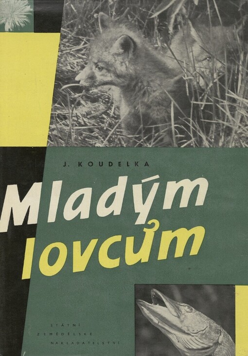 Mladým lovcům