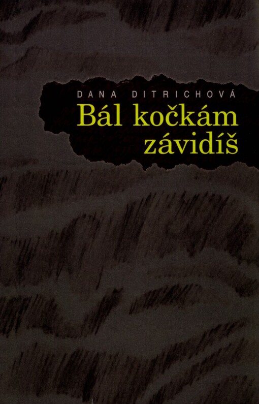 Bál kočkám závidíš