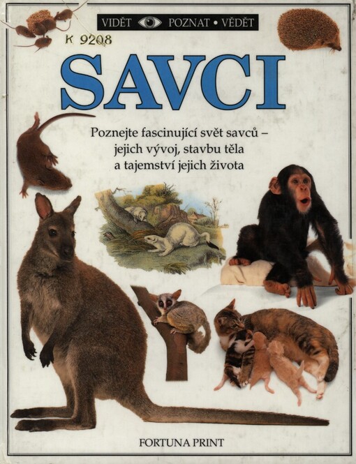 Savci