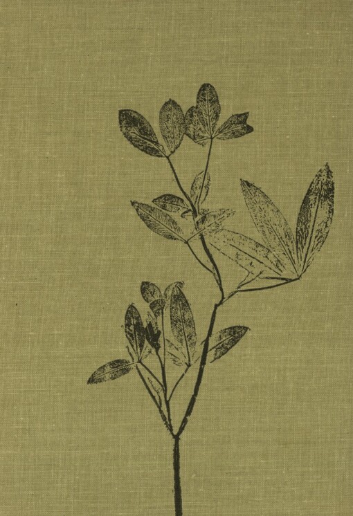 V přírodě se nenudím