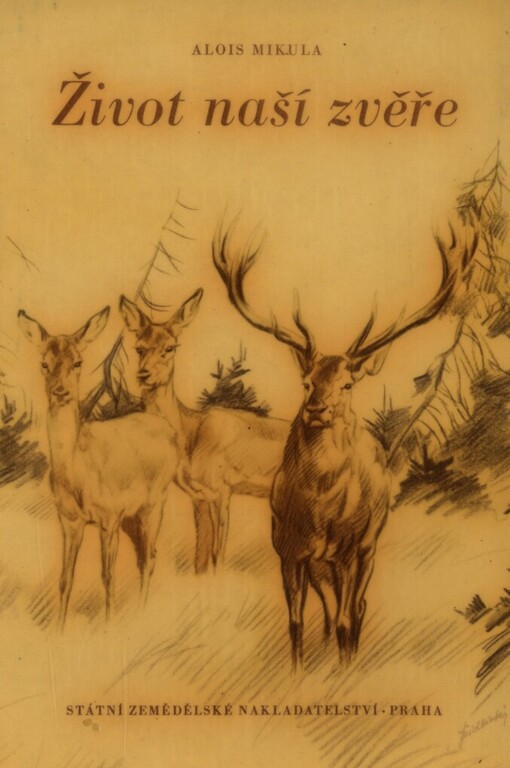 Život naší zvěře