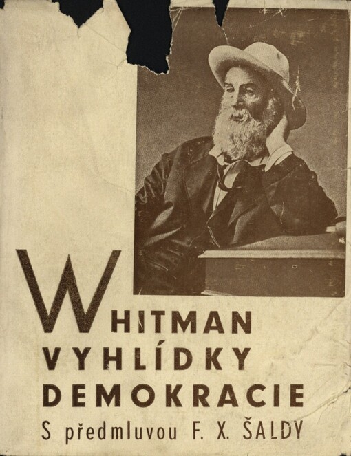 Vyhlídky demokracie