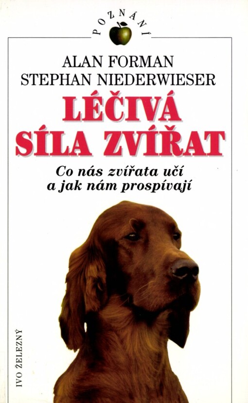 Léčivá síla zvířat: co nás zvířata učí a jak nám prospívají