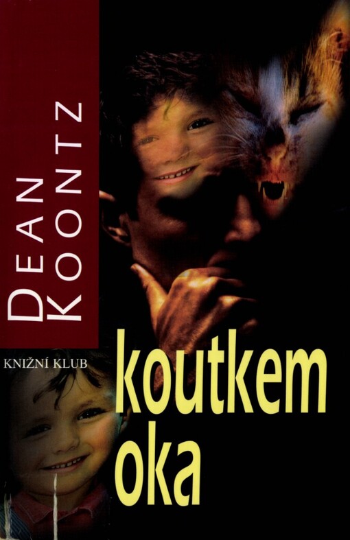 Koutkem oka