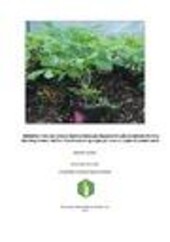 Metodika inokulace jírovce maďalu (Aesculus hipocastanum) původcem choroby bleending canker, bakterií Pseudomonas syringae pv. aesculi v polních podmínkách: uplatněná certifikovaná metodika