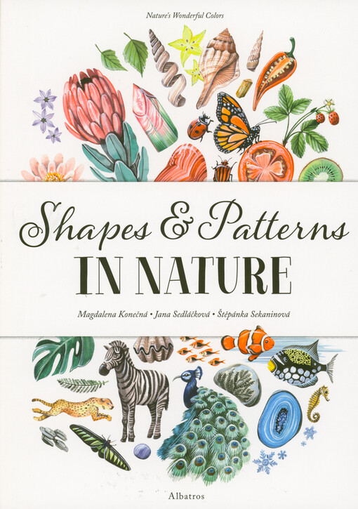 Shapes & patterns in nature