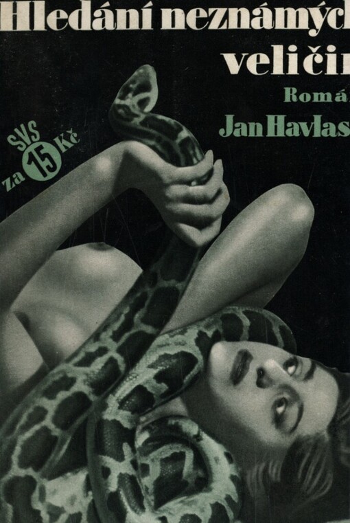 Hledání neznámých veličin :Román