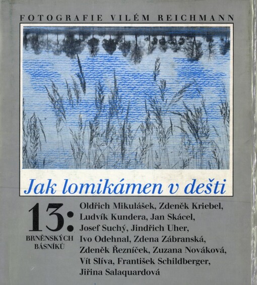 Jak lomikámen v dešti :13 brněnských básníků