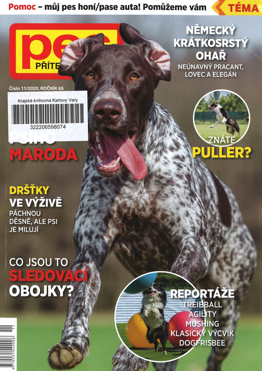 Pes přítel člověka : časopis pro chov a výcvik psů všech plemen
