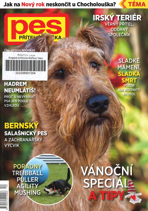Pes přítel člověka : časopis pro chov a výcvik psů všech plemen