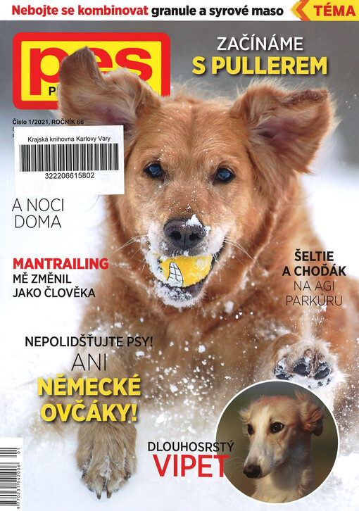 Pes přítel člověka : časopis pro chov a výcvik psů všech plemen