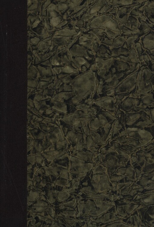 Syn služky : dějiny vývoje duše : (1849-1867)