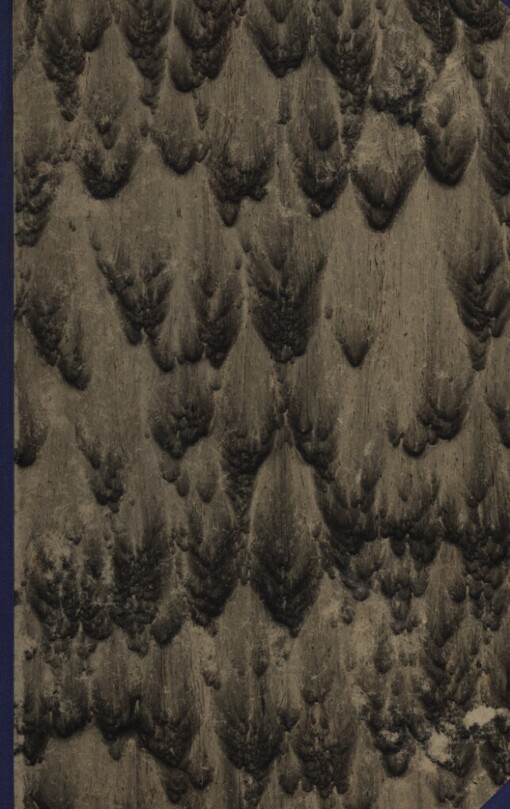 Srdce na zámek :román