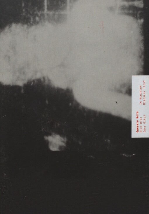 Ernesto Neto: Blue Mist Gray Girls : in memoriam Miroslav Tichý