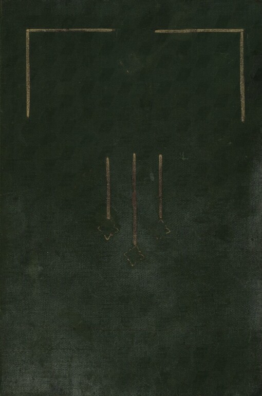 Srdce v plamenech: román