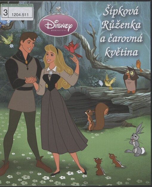 Šípková Růženka a čarovná květina