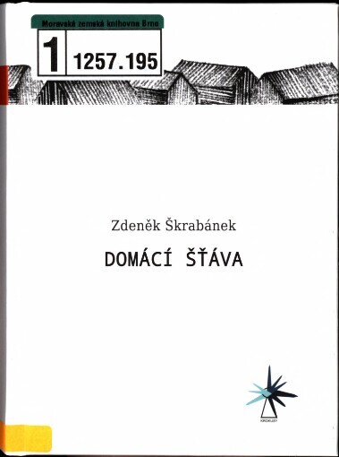 Domácí šťáva