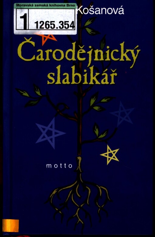 Čarodějnický slabikář