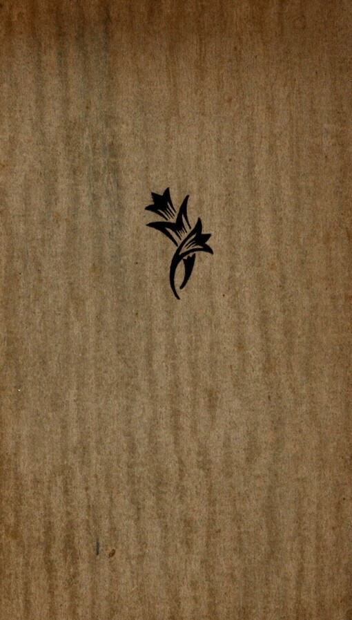 Ať vás nevykradou!: veselohra o třech dějstvích