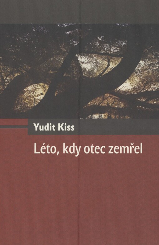 Léto, kdy otec zemřel