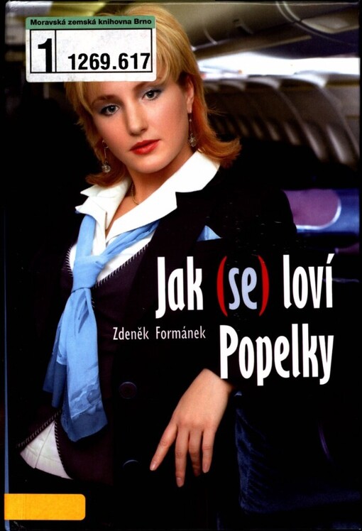 Jak (se) loví Popelky: (román pro ženy o naivním muži)