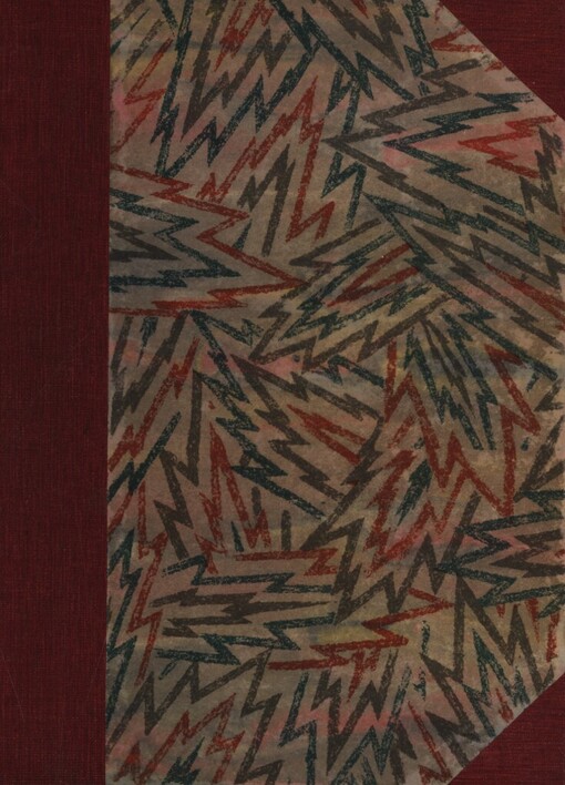 Hodkovic nevěsty a Kočvarčina pýcha :humoristický román tří manželství