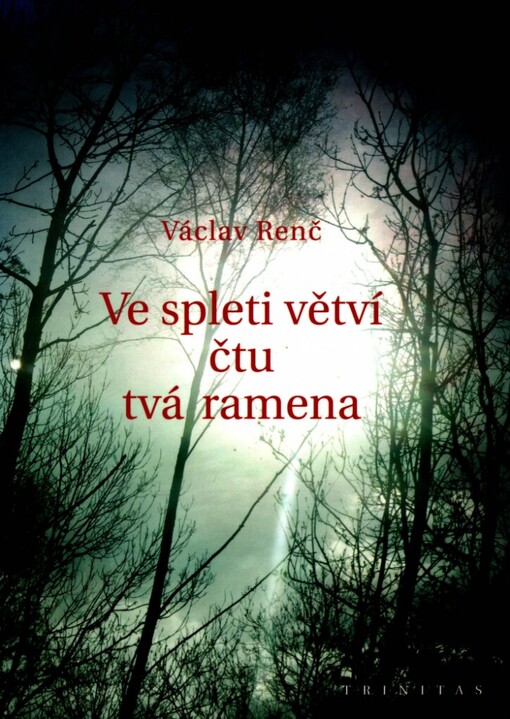 Ve spleti větví čtu tvá ramena