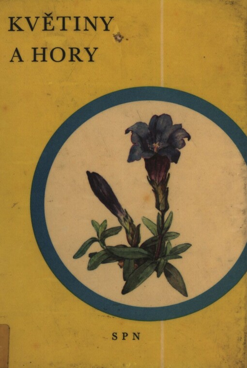 Květiny a hory