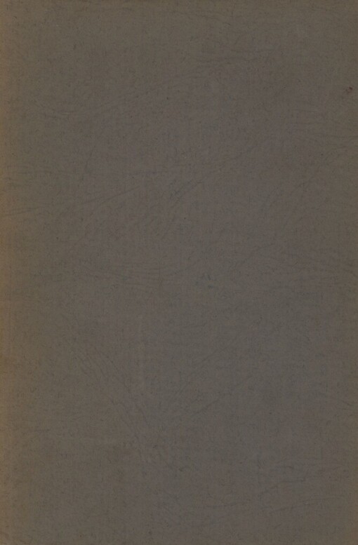 Český student v Americe