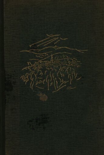 Slunečná paseka: román