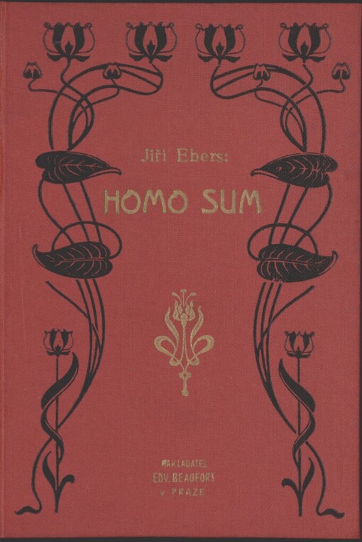 Homo sum: román