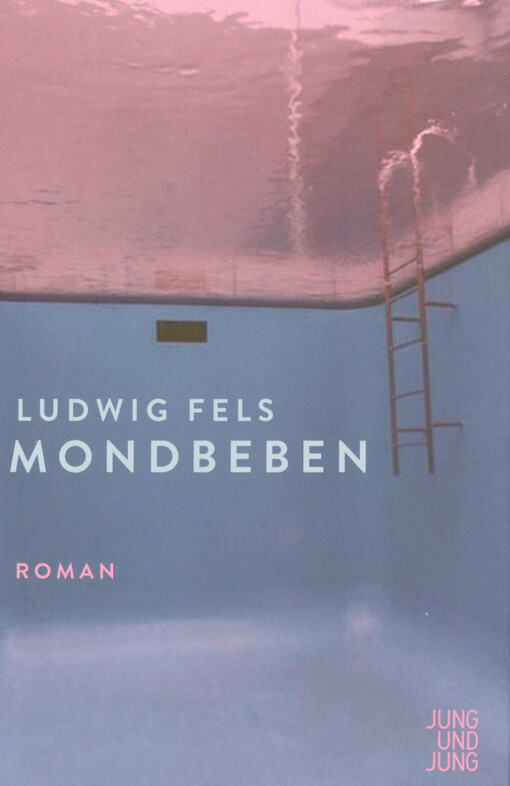 Mondbeben : Roman