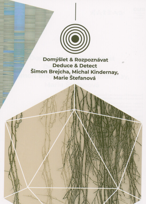 Domýšlet & Rozpoznávat = Deduce & Detect : Šimon Brejcha, Michal Kindernay, Marie Štefanová