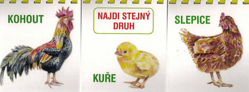 Najdi stejný druh