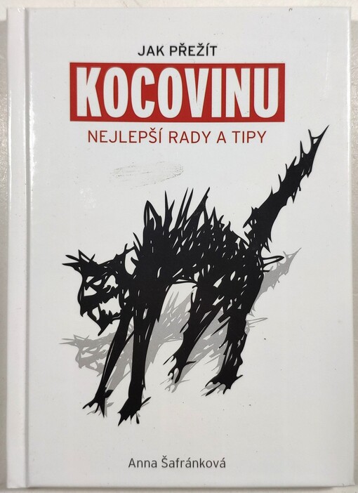 Jak přežít kocovinu: nejlepší rady a tipy