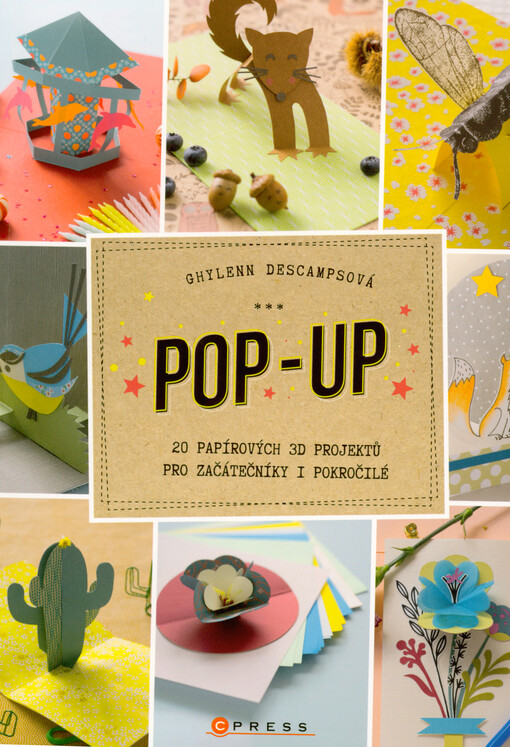 Pop-up : 20 papírových 3D projektů pro začátečníky i pokročilé