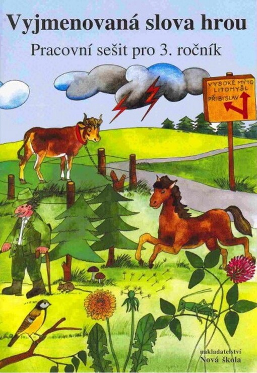 Vyjmenovaná slova hrou : pracovní sešit pro 3. ročník