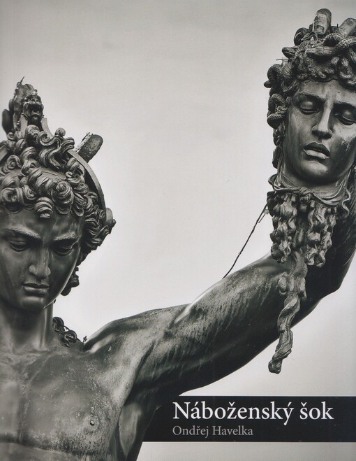 Náboženský šok : religiózní otřesy v odlišných náboženstvích a kulturách, mezináboženský dialog a praktická religionistika poutnickou perspektivou