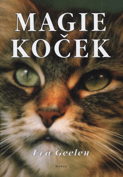 Magie koček